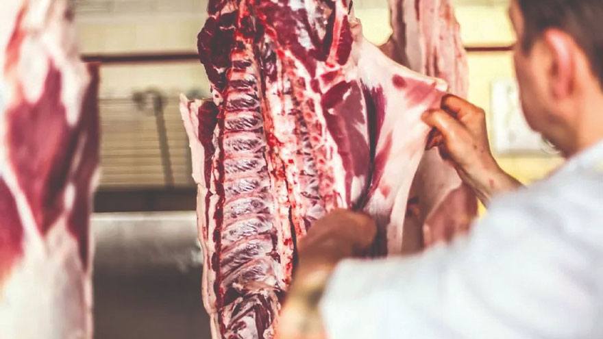 flexibility klaonice