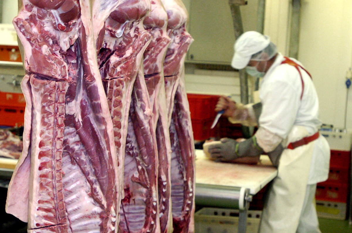 Male klaonice: Kako dobiti odobrenje, Meso