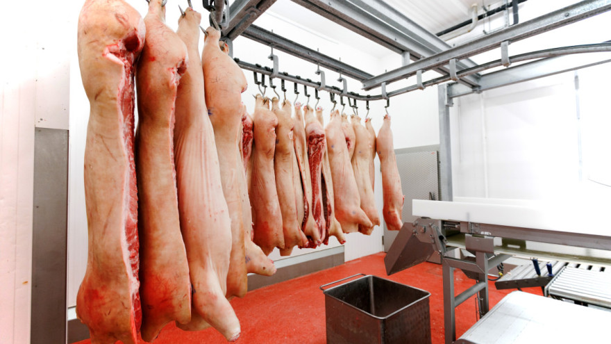male klaonice odobrenje svinja