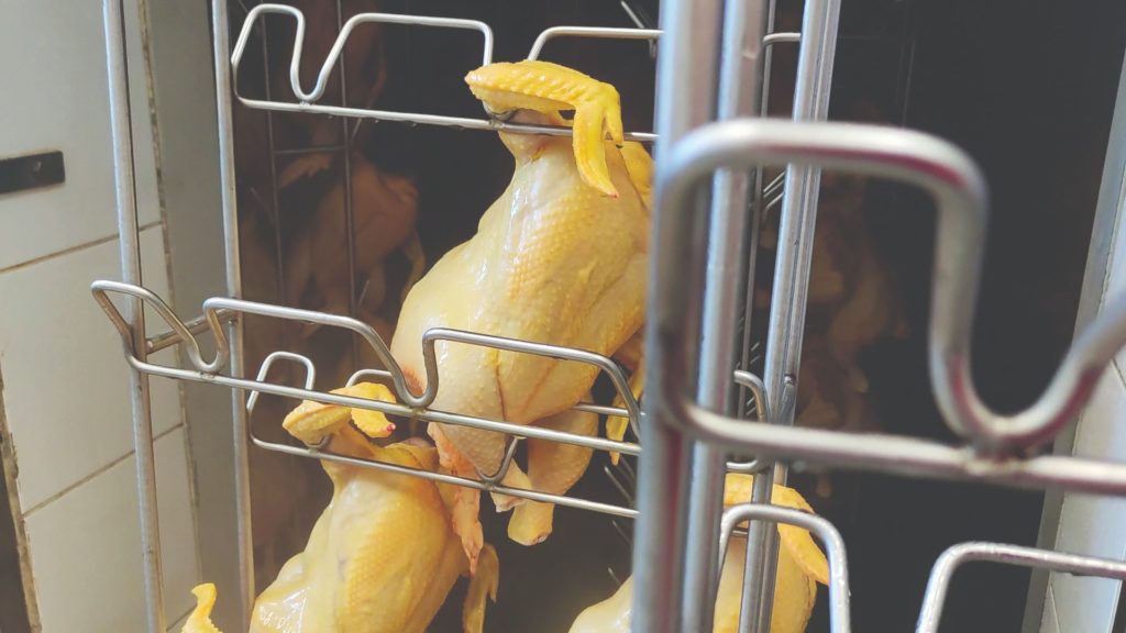 perad_mobilna_klaonice