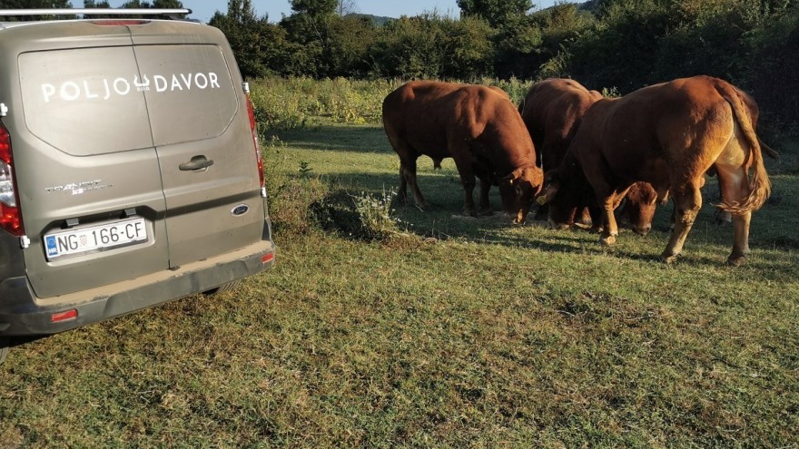 Obitelj Gelemanović uložila u mobilnu klaonicu